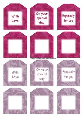Beautiful Blushing Bride Sentiment Tags