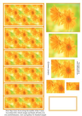 Beautiful Orange Flowers Stair Stepper