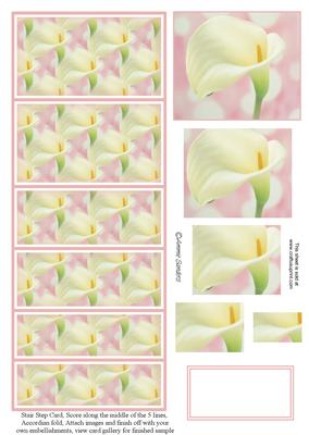 Beautiful Calla Lily Stair Stepper