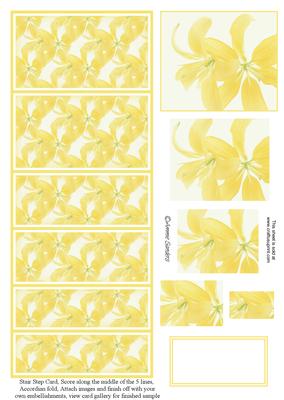 Beautiful Yellow Flowers Stair Stepper