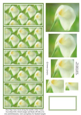 Beautiful Calla Lily Stair Stepper