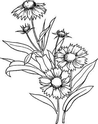 Gaillardia Digi Stamp
