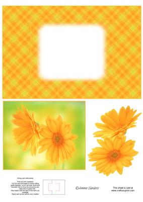 Gorgeous Floral Swing Card (blank)