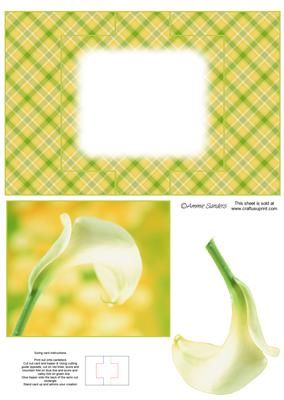 Stunning Calla Lily Swing Card (blank)
