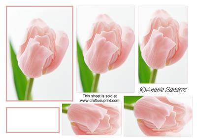 Gorgeous Pink Tulip Pyramid