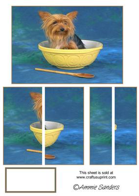 Cute Little Dog in a Mixing Bowl Side Stacker