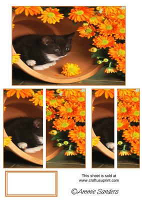 Kitten in a Plant Pot Surrounded by Orange Flowers Side Stacker