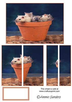 4 Sweet Gerbils in a Plant Pot Side Stacker