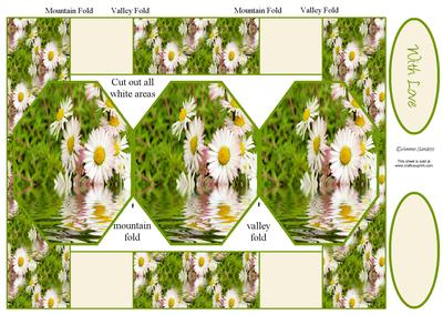Daisies in the Water 3 Panel Pop Up Card