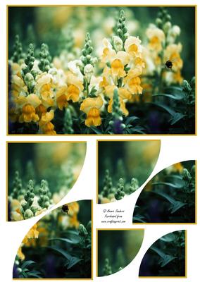 Beautiful Floral 2 Corner Stacker