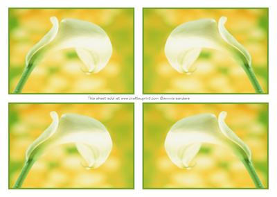 4 Beautiful Calla Lily Toppers