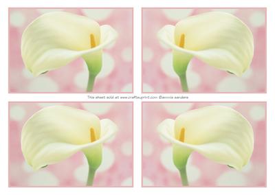 4 Beautiful Calla Lily Toppers