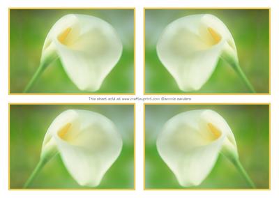 4 Beautiful Calla Lily Toppers