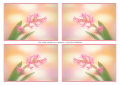 4 Beautiful Pink Flowers Toppers