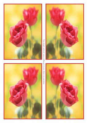4 Beautiful Red Rose Toppers