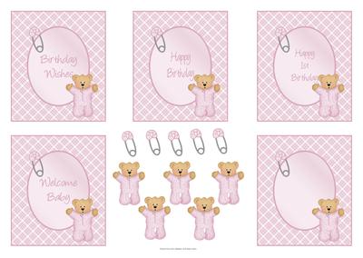 Baby Girl Teddy Sentiement Frames