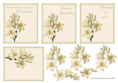 Floral Sympathy Sentiement Frames