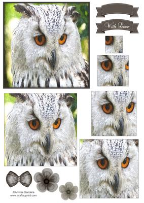Beautiful Owl Watercolour Pyramid Topper