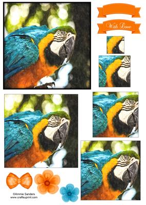 Macaw Parrot Watercolour Pyramid Topper