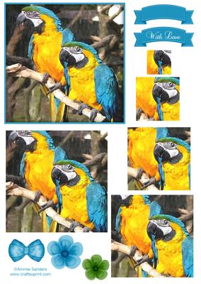 Macaw Parrot Watercolour Pyramid Topper