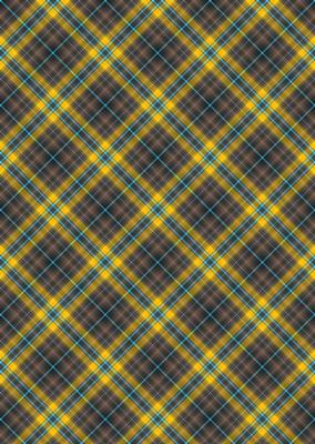 Plaid - Matching Macaw Parrot Watercolour Pyramid Topper