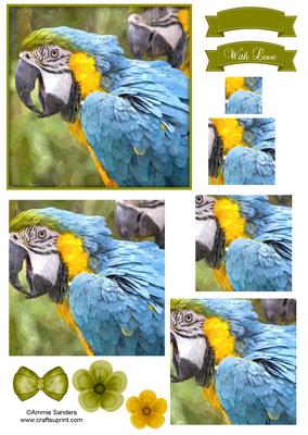 Macaw Parrot Watercolour Pyramid Topper