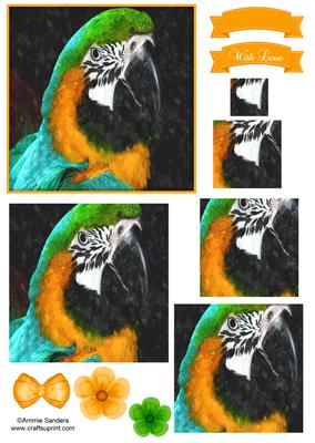 Macaw Parrot Watercolour Pyramid Topper