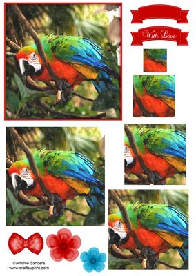 Macaw Parrot Watercolour Pyramid Topper