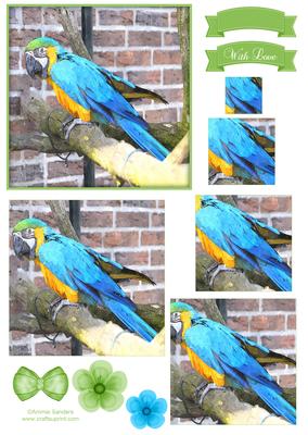 Macaw Parrot Watercolour Pyramid Topper