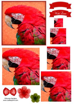 Macaw Parrot Watercolour Pyramid Topper