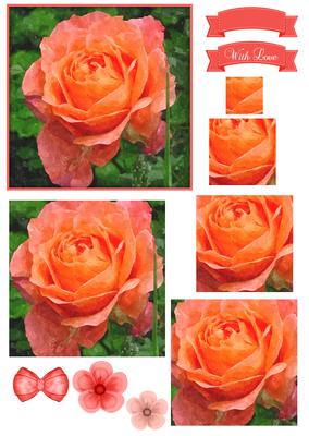 Pretty Rose Watercolour Pyramid Topper