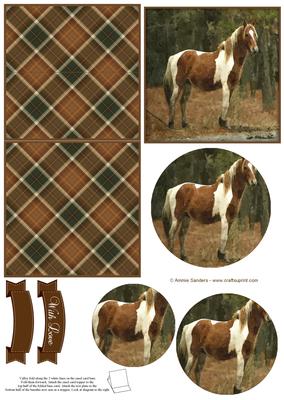 Wild Pony Mini Easel Card