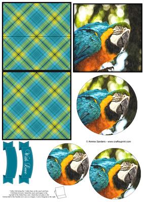 Magical Macaw Parrot Watercolour Mini Easel Card