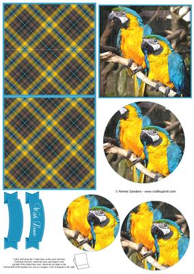 Magical Macaw Parrot Watercolour Mini Easel Card
