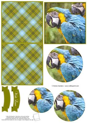 Magical Macaw Parrot Watercolour Mini Easel Card