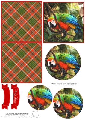 Magical Macaw Parrot Watercolour Mini Easel Card