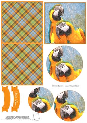 Magical Macaw Parrot Watercolour Mini Easel Card