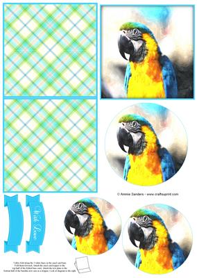 Magical Macaw Parrot Watercolour Mini Easel Card