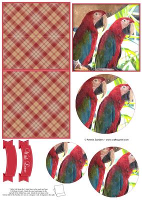 Magical Macaw Parrot Watercolour Mini Easel Card
