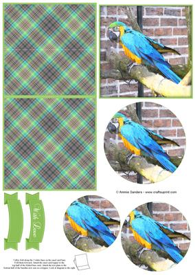 Magical Macaw Parrot Watercolour Mini Easel Card