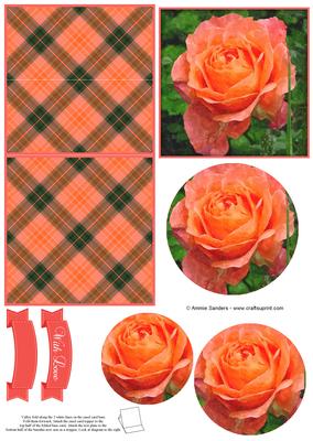 Pretty Rose Watercolour Mini Easel Card