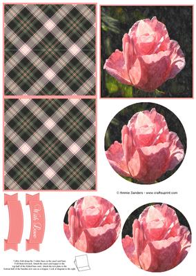 Pretty Rose Watercolour Mini Easel Card