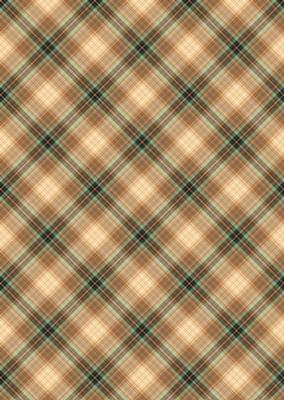 Plaid - Matching King of the Jungle Watercolour Pyramid