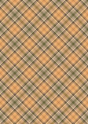 Plaid - Matching King of the Jungle Watercolour Pyramid