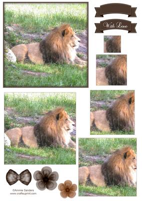 King of the Jungle Watercolour Pyramid Topper