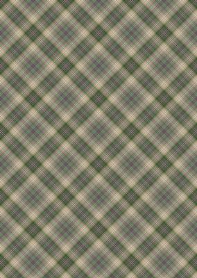Plaid - Matching King of the Jungle Watercolour Pyramid