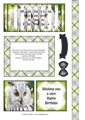 Beautiful Owl Birthday Flip Card Sheet