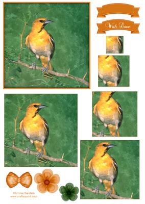 Wild Bird Watercolour Pyramid Topper