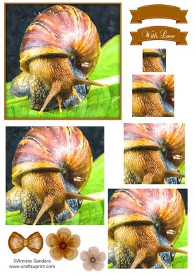 African Land Snail Watercolour Pyramid Topper