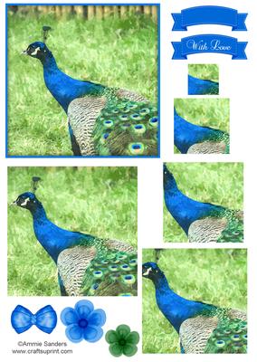 Striking Peacock Watercolour Pyramid Topper